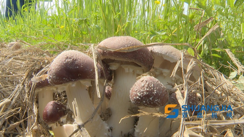 1649817683125624.jpg 10-22-26-19-283825.jpg